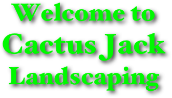 Welcome to
Cactus Jack
Landscaping